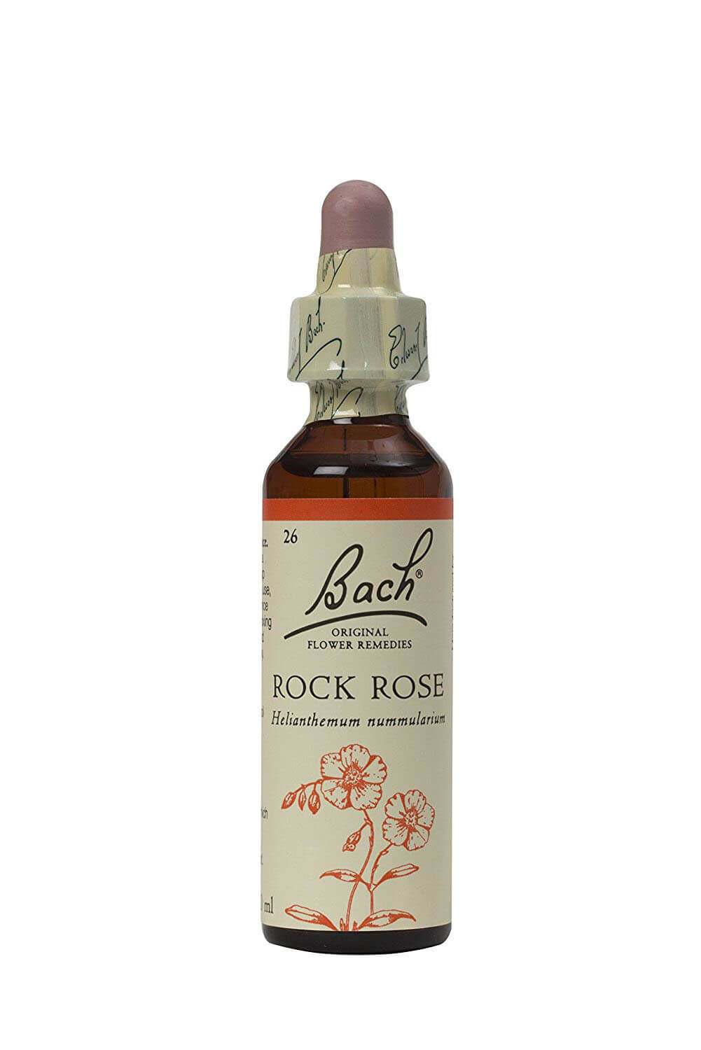 Rock rose